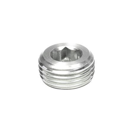 Otto Ganter Stainless Steel Threaded Plug with Conical Thread, DIN 906